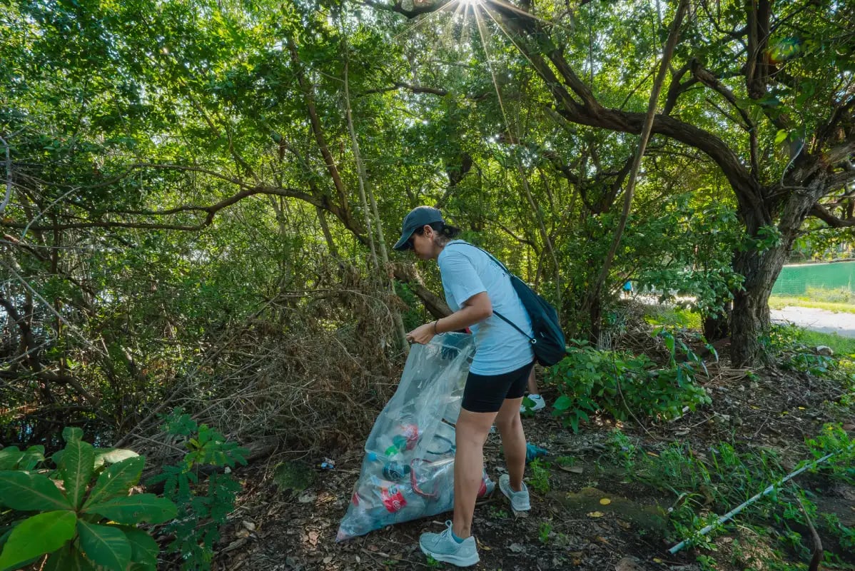 removiendo basura de areas verdes en isla mujeres